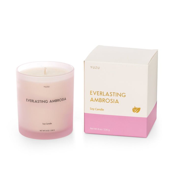 Frosted Glass Candle, Boxed (8 oz) - Everlasting Ambrosia (Pink)