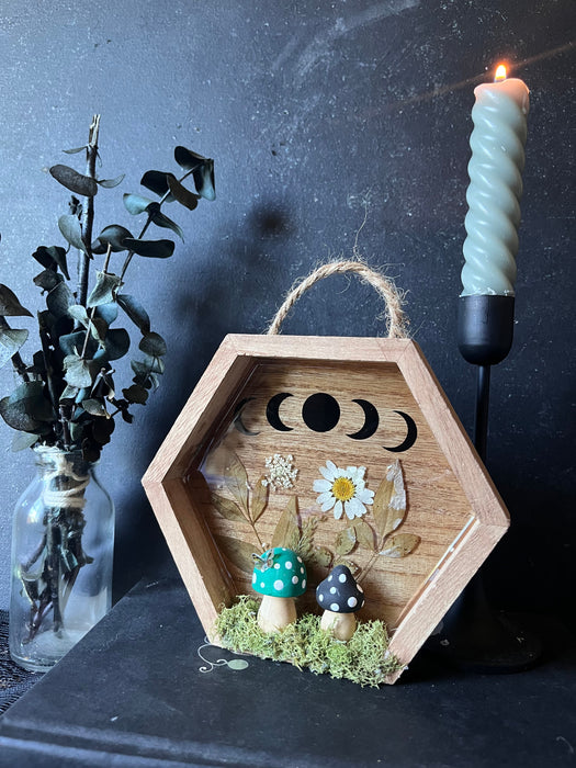 Serenity shadow box