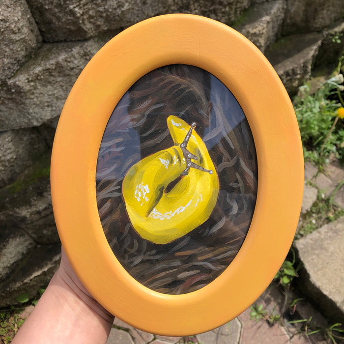 Framed Banana Slug