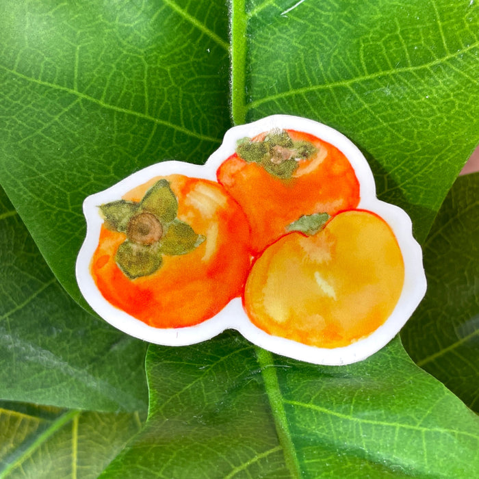 Persimmon Sticker